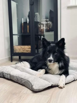 VIAMAJA Hund<Pude til kæledyr - Vandafvisende