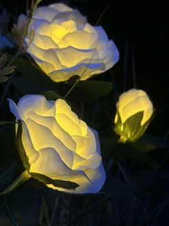 VIAMAJA Lys Og Led|Udendørs Led<Rose med solceller - Hvid