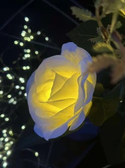 VIAMAJA Lys Og Led|Udendørs Led<Rose med solceller - Hvid