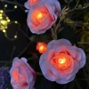 VIAMAJA Lys Og Led|Udendørs Led<Rose med solceller - Rosa