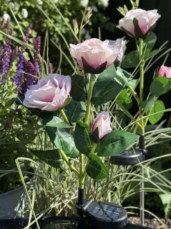 VIAMAJA Lys Og Led|Udendørs Led<Rose med solceller - Rosa