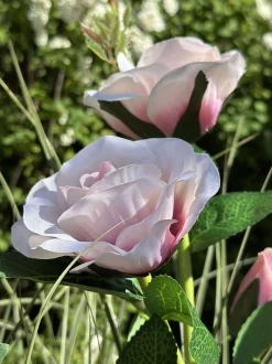VIAMAJA Lys Og Led|Udendørs Led<Rose med solceller - Rosa