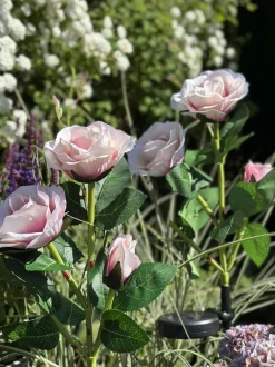 VIAMAJA Lys Og Led|Udendørs Led<Rose med solceller - Rosa