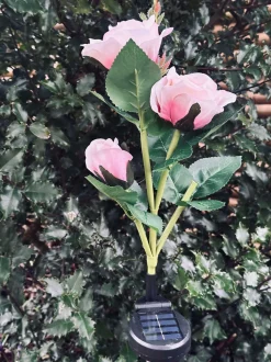 VIAMAJA Lys Og Led|Udendørs Led<Rose med solceller - Rosa