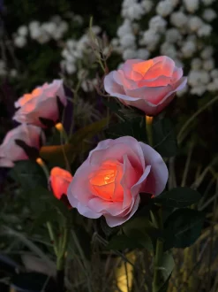 VIAMAJA Lys Og Led|Udendørs Led<Rose med solceller - Rosa