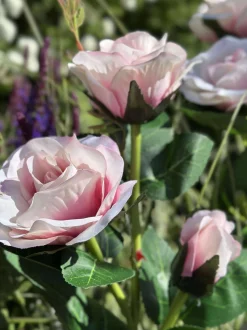 VIAMAJA Lys Og Led|Udendørs Led<Rose med solceller - Rosa