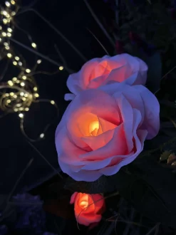 VIAMAJA Lys Og Led|Udendørs Led<Rose med solceller - Rosa