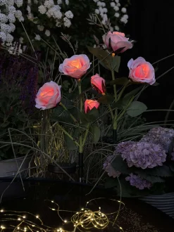 VIAMAJA Lys Og Led|Udendørs Led<Rose med solceller - Rosa