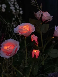 VIAMAJA Lys Og Led|Udendørs Led<Rose med solceller - Rosa