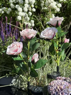 VIAMAJA Lys Og Led|Udendørs Led<Rose med solceller - Rosa