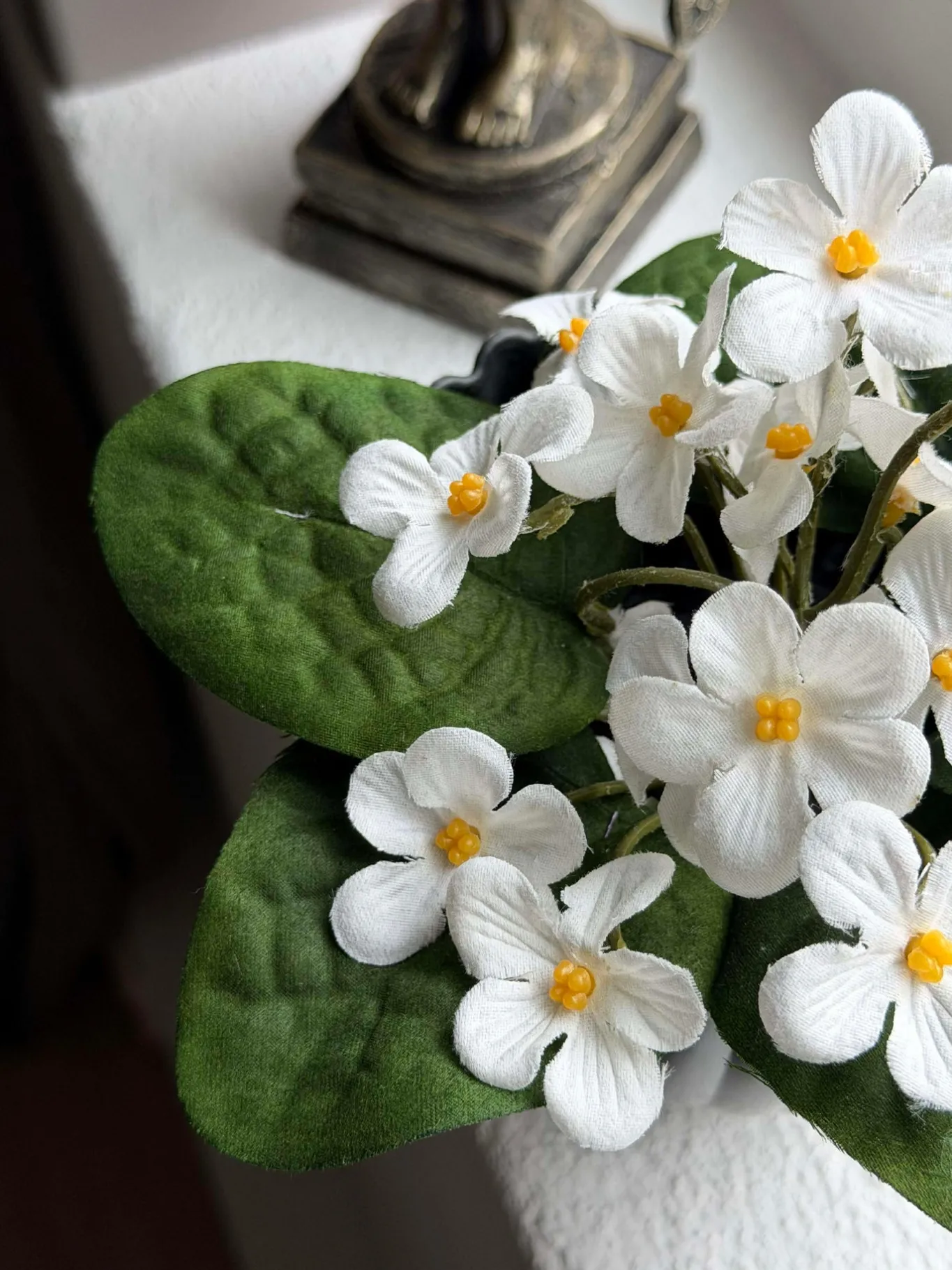 VIAMAJA Blomster<Saintpaulia i potte - flere farver