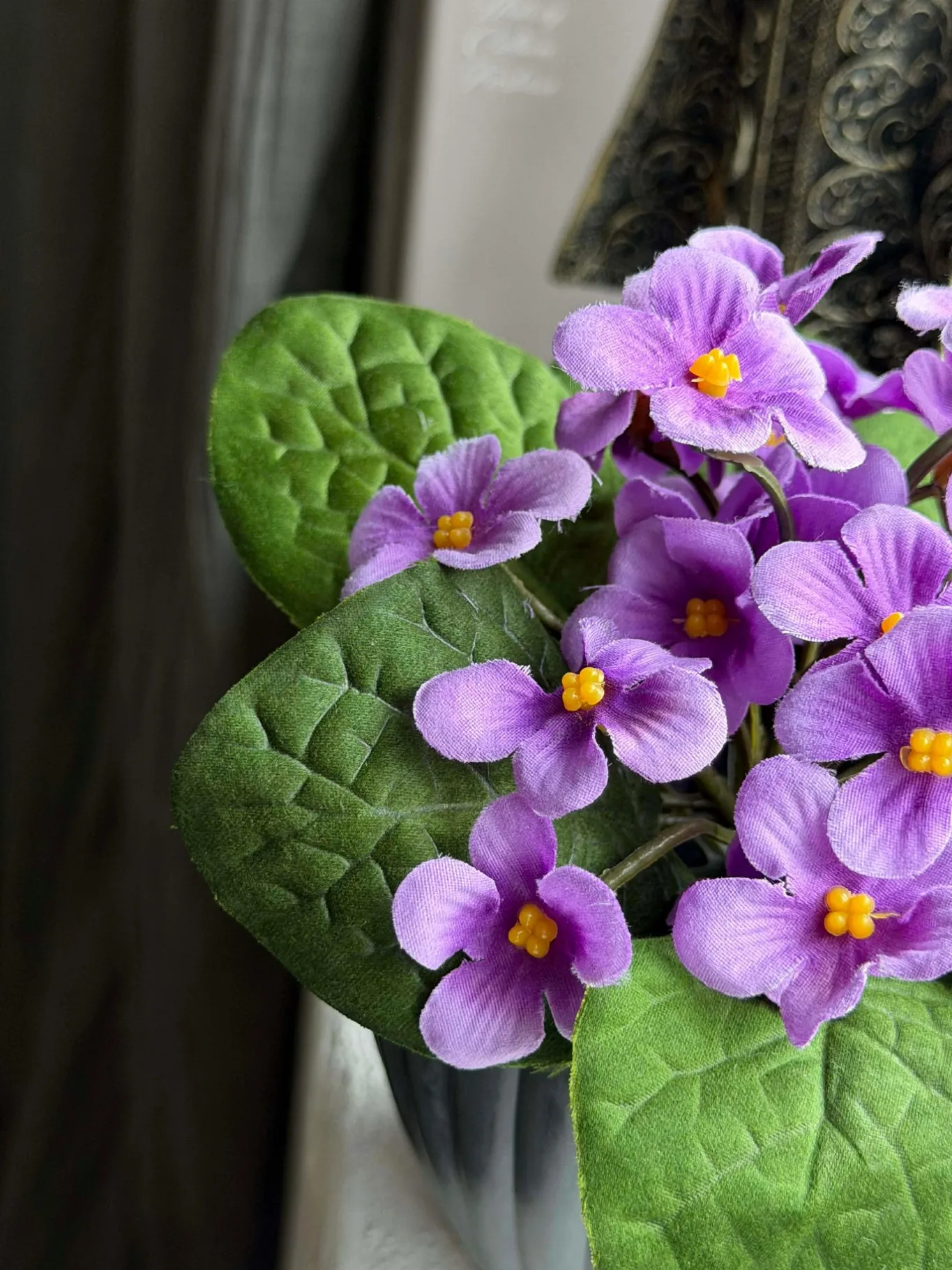 VIAMAJA Blomster<Saintpaulia i potte - flere farver