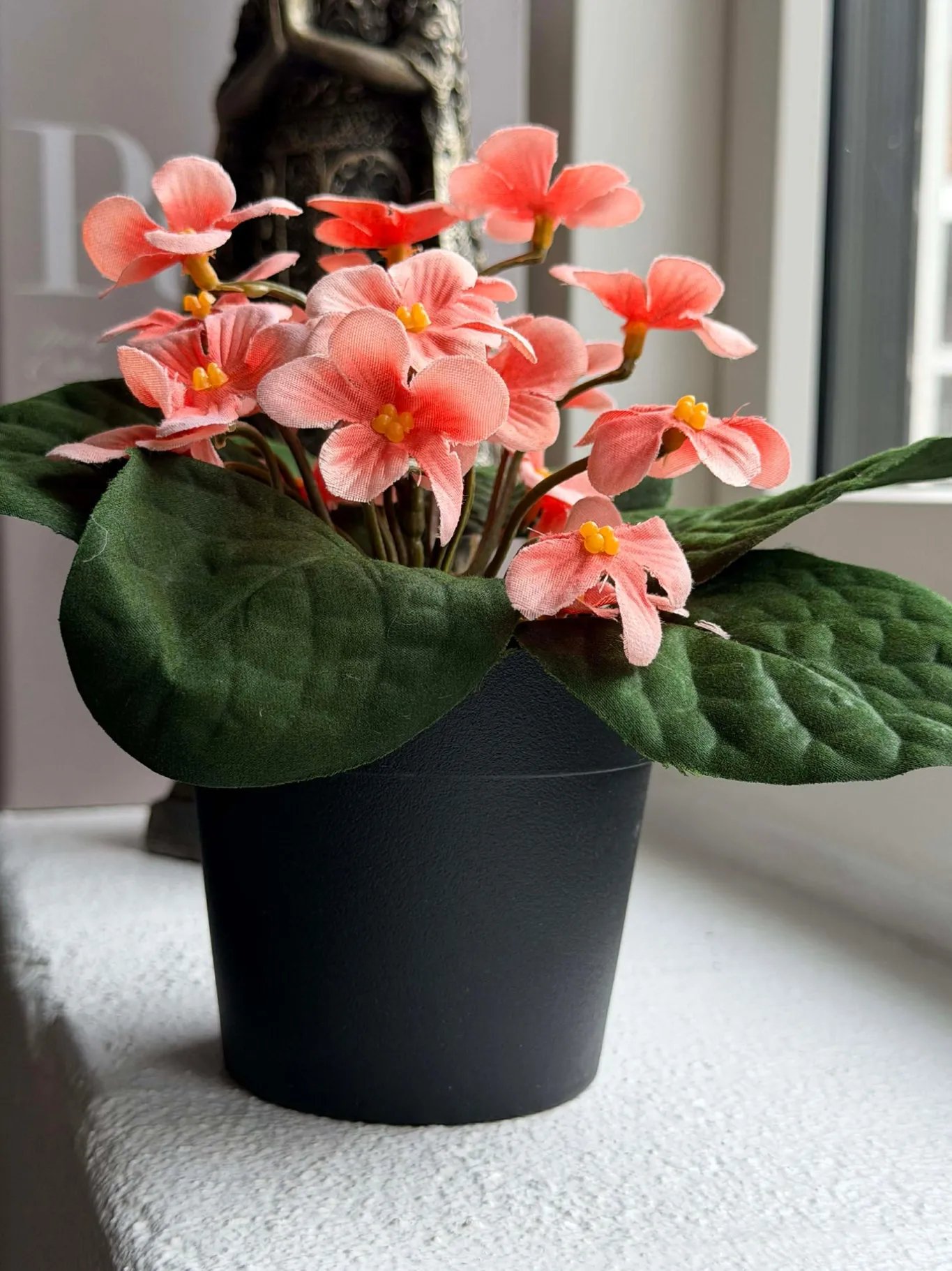 VIAMAJA Blomster<Saintpaulia i potte - flere farver