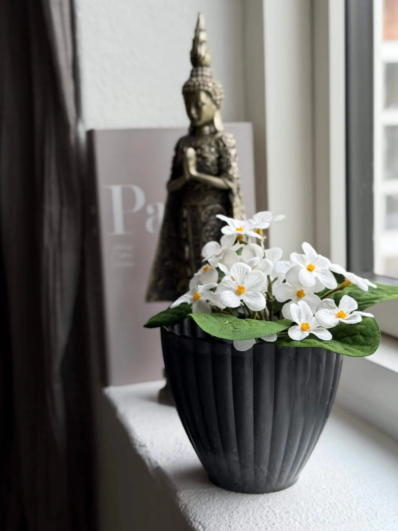 VIAMAJA Blomster<Saintpaulia i potte - flere farver