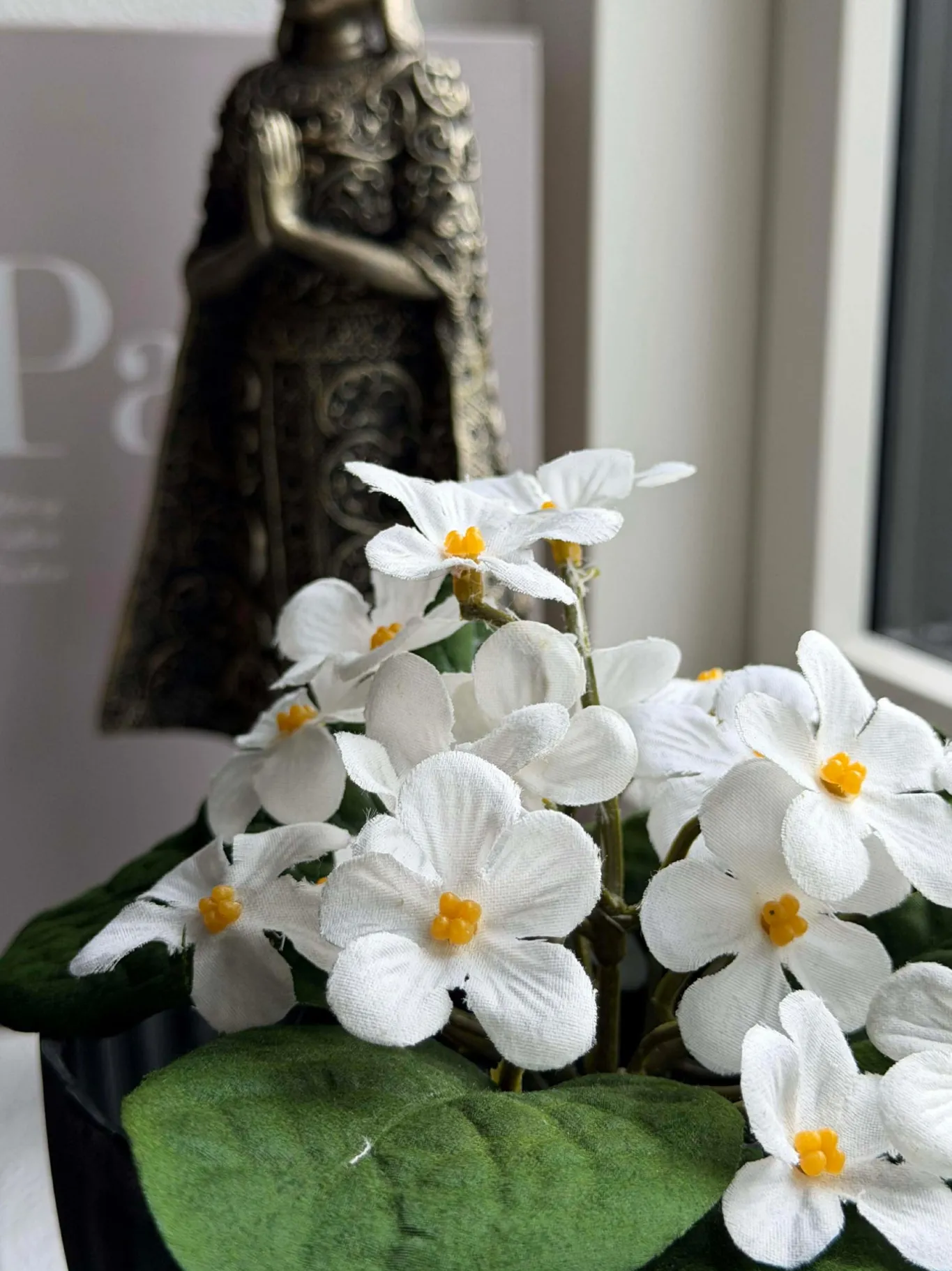 VIAMAJA Blomster<Saintpaulia i potte - flere farver
