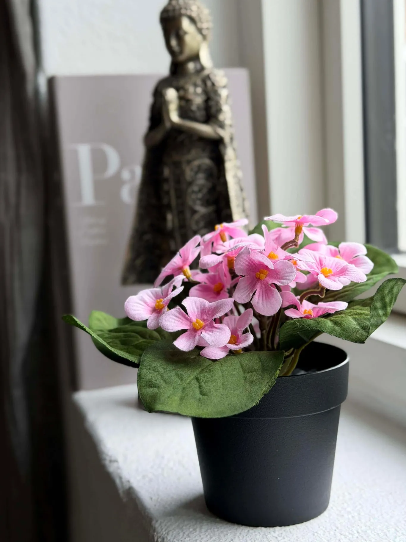 VIAMAJA Blomster<Saintpaulia i potte - flere farver