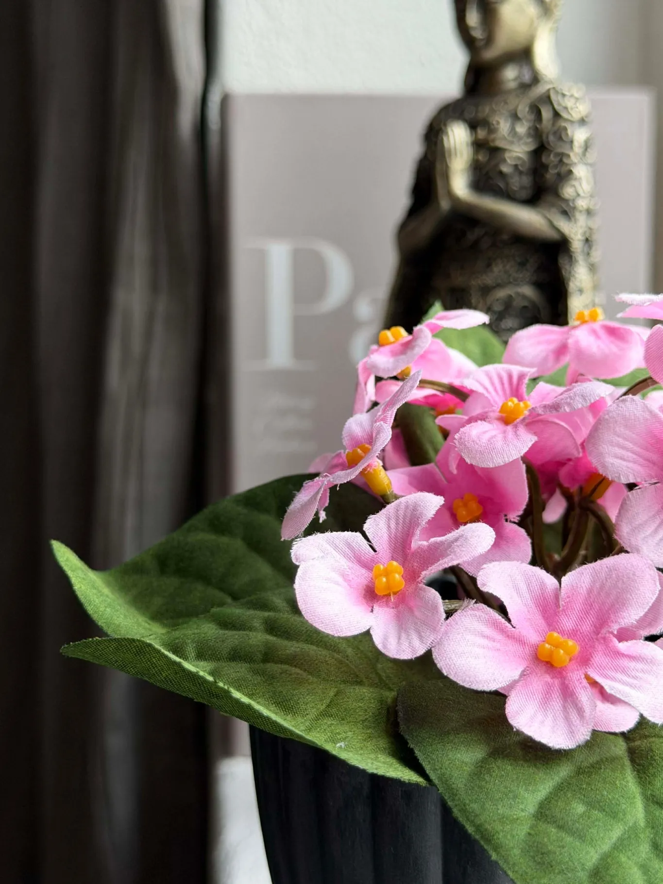 VIAMAJA Blomster<Saintpaulia i potte - flere farver