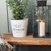 VIAMAJA Urtepotter|Havekrukker<Skjuler til blomster - Hvid