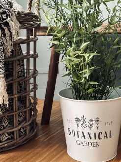 VIAMAJA Urtepotter|Havekrukker<Skjuler til blomster - Hvid