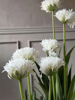 VIAMAJA Blomster<Skærmlilje 120cm - flere farver
