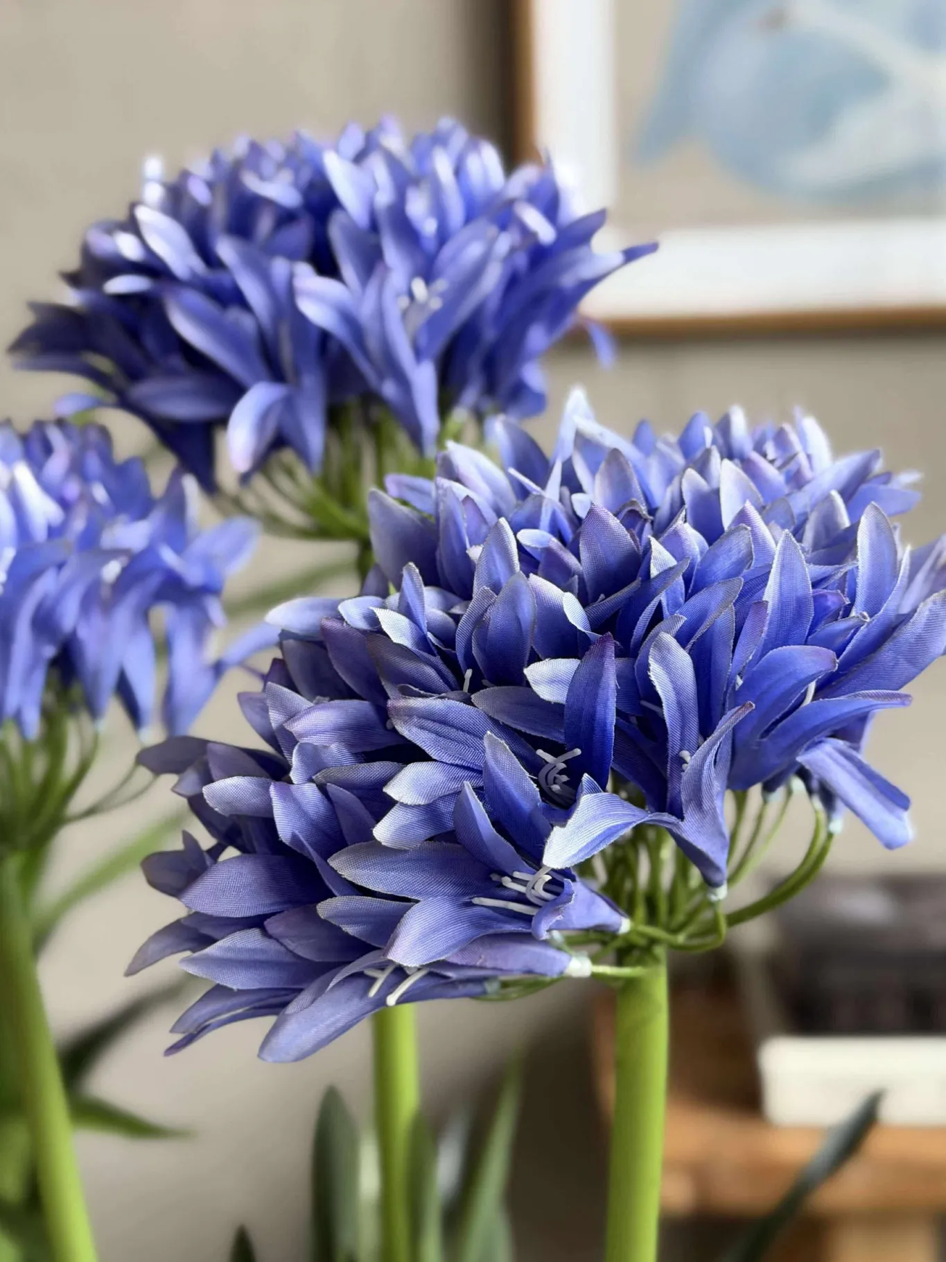VIAMAJA Blomster<Skærmlilje 80cm - flere farver