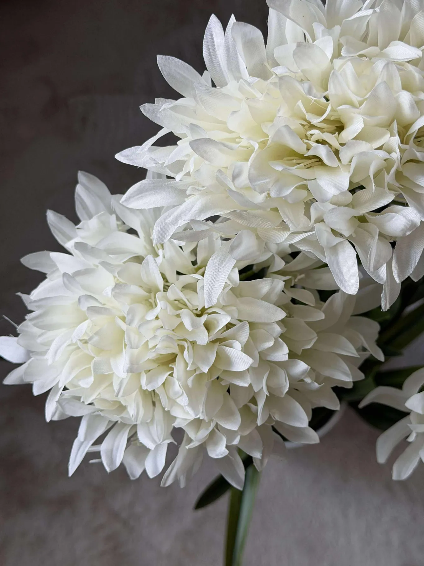VIAMAJA Blomster<Skærmlilje 80cm - flere farver