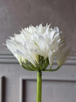 VIAMAJA Blomster<Skærmlilje 80cm - flere farver