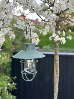 VIAMAJA Lys Og Led|Udendørs Led<Solar lampe med ophæng - Grøn / guld
