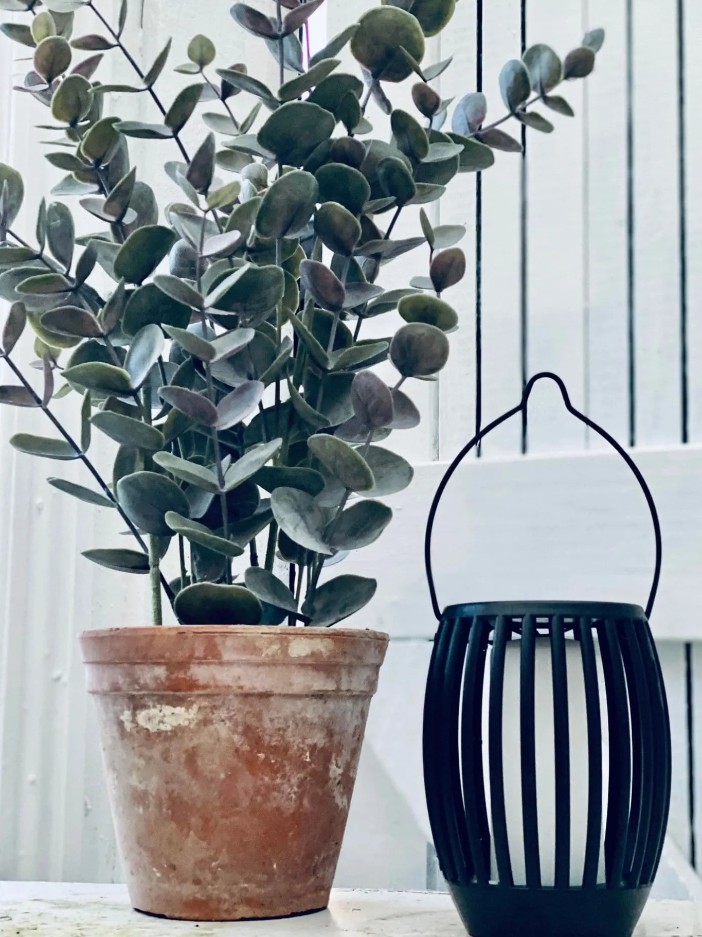 VIAMAJA Lys Og Led|Led Solceller<Solcelle 3 i 1 model - Fakkel og lanterne