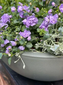 VIAMAJA Havekrukker|Spejlbassiner Og Tilbehør<Spejlbassin / Skål dia 40cm - Recycling Grøn