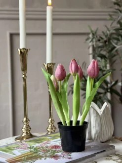 VIAMAJA Blomster|Interiør<Tulipan i potte - Mørk Rosa