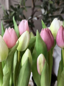 VIAMAJA Blomster|Interiør<Tulipan i potte - Mørk Rosa