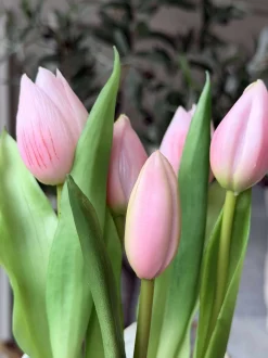 VIAMAJA Blomster|Interiør<Tulipan i potte - Rosa