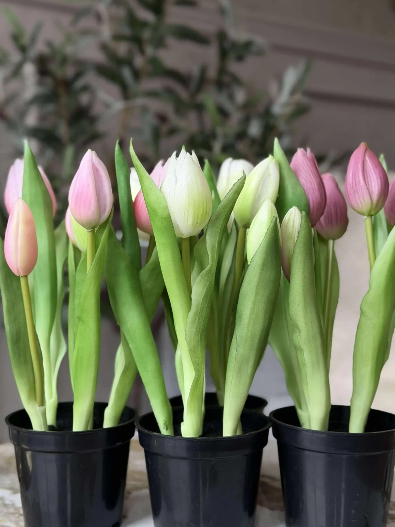 VIAMAJA Blomster|Interiør<Tulipan i potte - Rosa