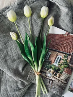 VIAMAJA Blomster|Påske<Tulipaner – Flere farver