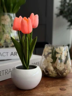 VIAMAJA Blomster|Påske<Tulipaner med lys - Rosa