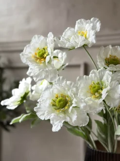 VIAMAJA Blomster<Valmue stilk 62 cm - Hvid