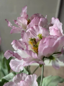 VIAMAJA Blomster<Valmue stilk 62 cm - Rosa