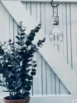 VIAMAJA Udendørs Led|Led Solceller<XL lyspære med solceller - Tilbud 4 stk