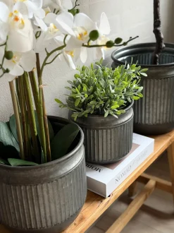 VIAMAJA Urtepotter|Kurve Og Potter<Zink potte med riller – 3 stk.